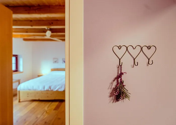 Farmház Ronchi Ro *